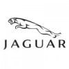 jaguar-vector-e1416398785273 (1)